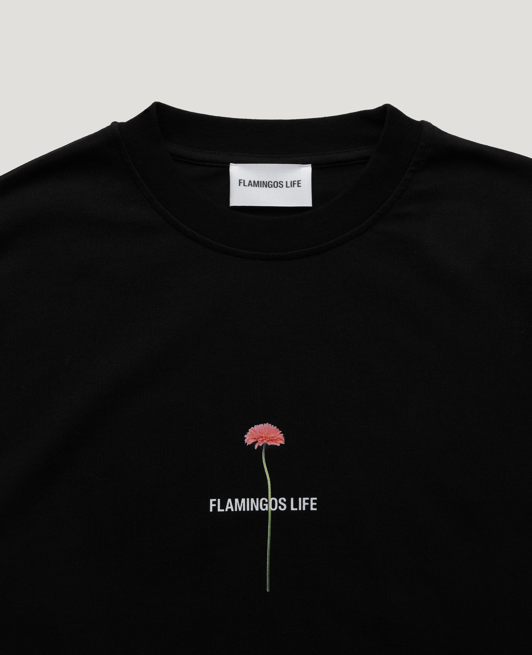 LSFLOBLA_a1.jpg__PID:c0f74c7c-d74b-4918-a611-1c6008d627d7