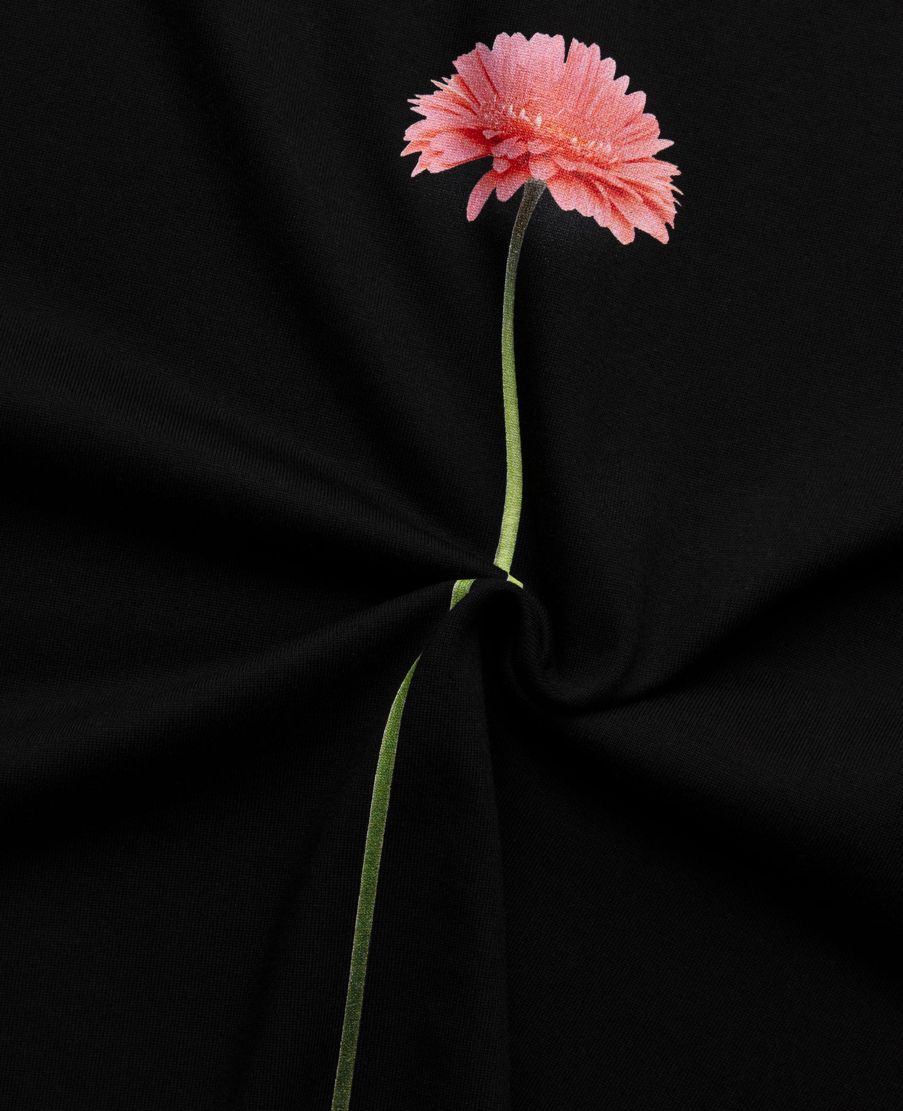 LSFLOBLA_a3.jpg__PID:acbbf4f6-7595-41f9-829e-aa0cd3b18f7d