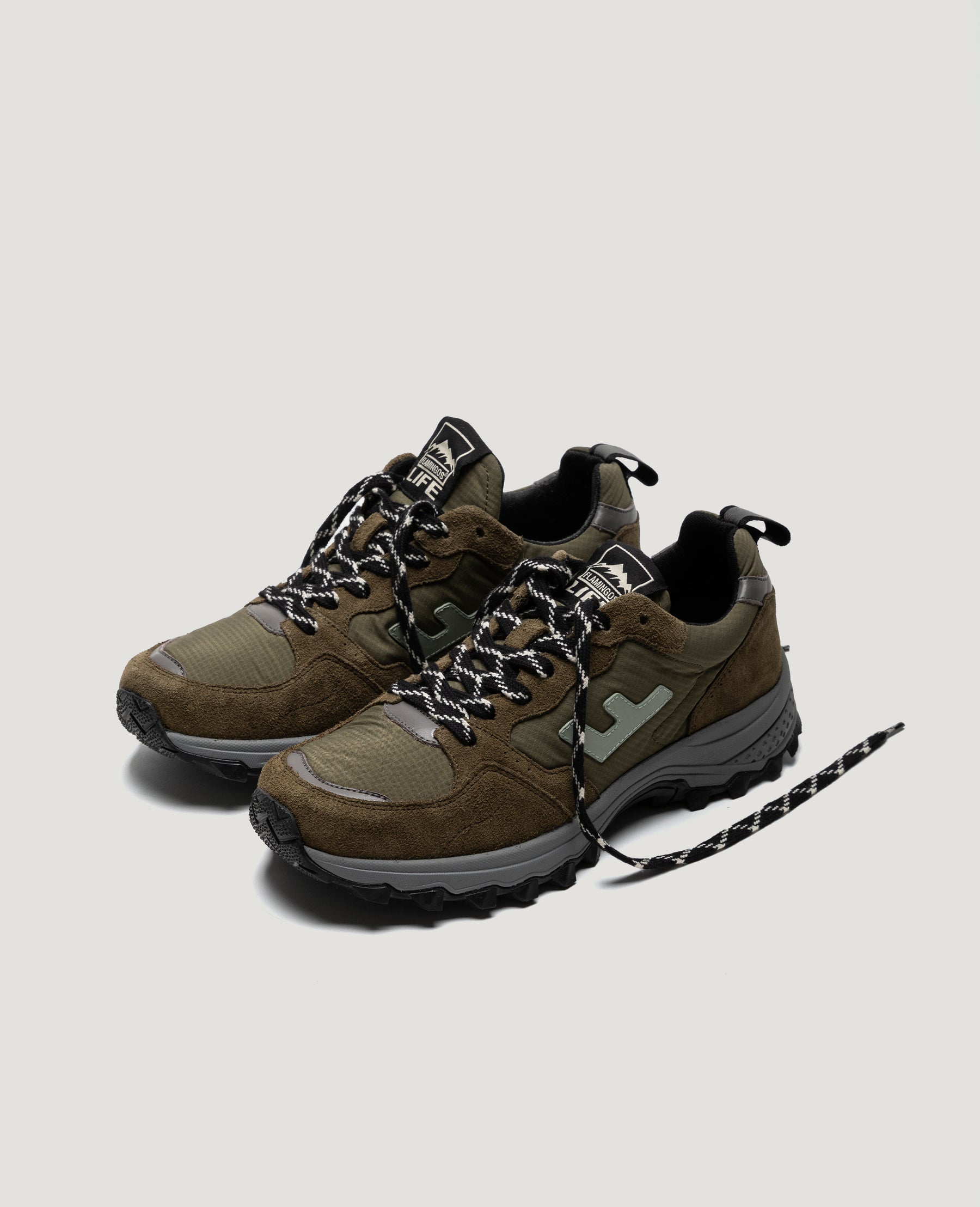 TABEI NORI OLIVE
