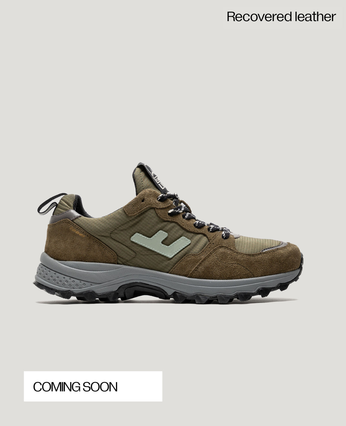 TABEI NORI OLIVE
