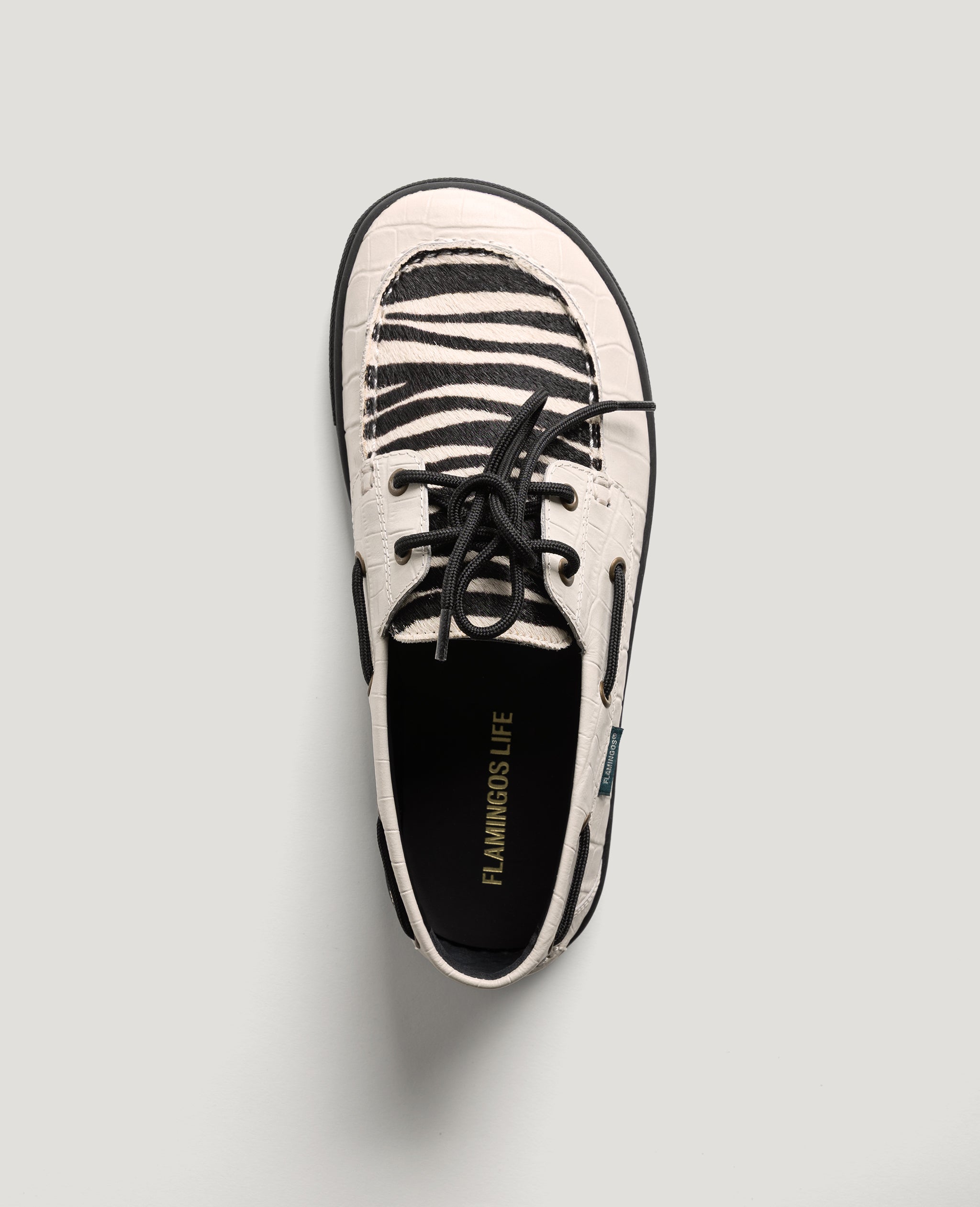 ZERO BOAT CHALK SAFARI